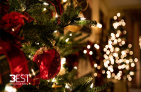 Tinsel Turkey Entertainer